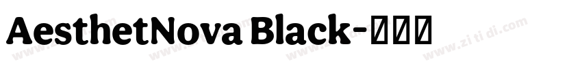 AesthetNova Black字体转换